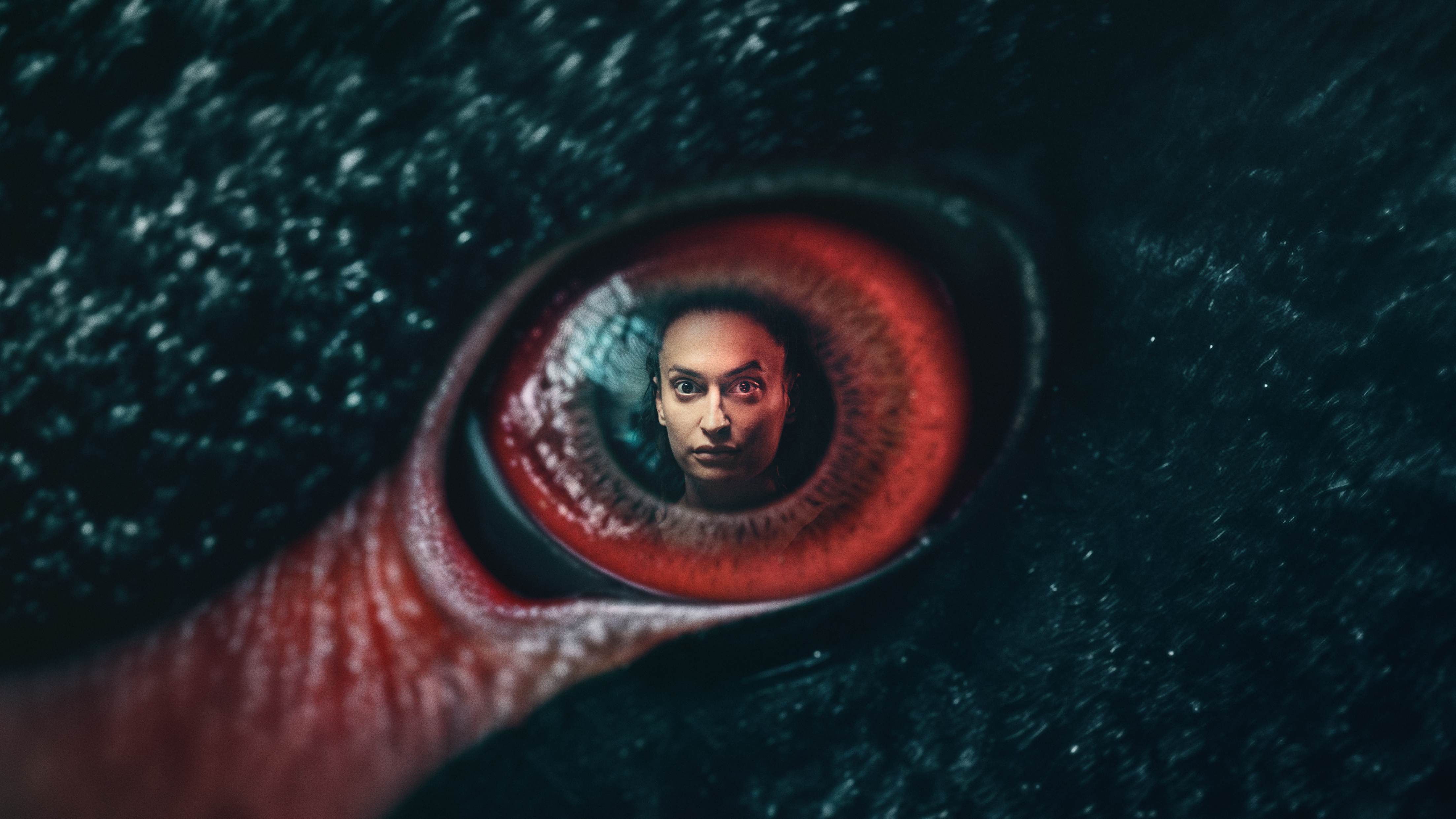 2024: Den sorte svanes år