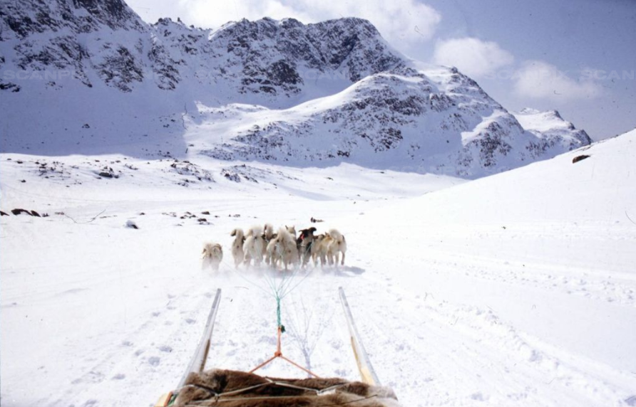 Fejl i ’Grønlandssagen’